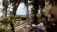 Backdrop to the movie "Practical Magic" #835090