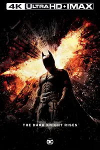 Poster to the movie "The Dark Knight Rises" #908292