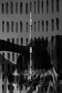 Poster to the movie "FULL METAL" #543032