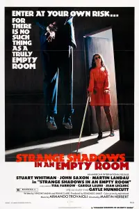 Poster to the movie "Shadows in an Empty Room" #1133976