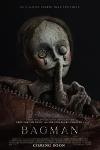Poster to the movie "Bagman" #979151