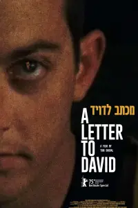 Poster to the movie "A Letter to David" #668319