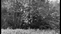 Backdrop to the movie "ARGILEUX" #576262