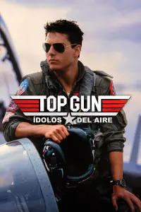 Poster to the movie "Top Gun" #790115