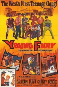 Poster to the movie "Young Fury" #710284