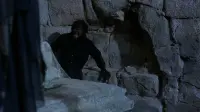 Backdrop to the movie "The Werewolf Versus the Vampire Woman" #717224