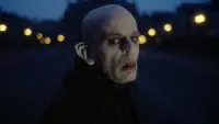 Backdrop to the movie "Nosferatu the Vampyre" #835410