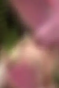 Poster to the movie "Valle Lindo" #711723