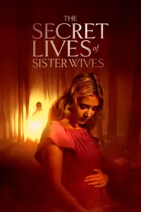 Poster to the movie "The Secret Lives of Sister Wives" #1006478