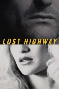 Poster to the movie "Lost Highway" #907479