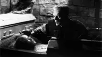 Backdrop to the movie "The Bride of Frankenstein" #661254
