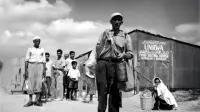 Backdrop to the movie "UNraveling UNRWA" #885611