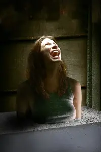 Poster to the movie "Walled In" #1071959