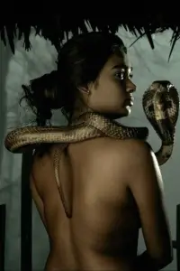 Poster to the movie "Saayavanam" #1157013