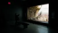 Backdrop to the movie "Curiosity and Control" #782496