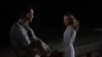 Backdrop to the movie "Body Heat" #823058