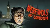 Backdrop to the movie "Werewolf of London" #992874