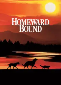 Poster to the movie "Homeward Bound: The Incredible Journey" #956447