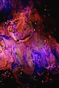 Poster to the movie "Stellar" #1038490