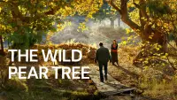 Backdrop to the movie "The Wild Pear Tree" #1091707