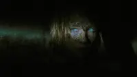 Backdrop to the movie "Eden Lake" #804310