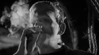 Backdrop to the movie "The Bride of Frankenstein" #743818