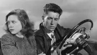 Backdrop to the movie "They Live by Night" #783605