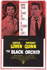 Poster to the movie "The Black Orchid" #995448