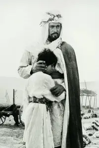 Poster to the movie "Selahattin Eyyubi" #1079361