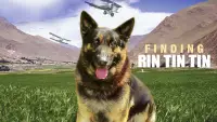 Backdrop to the movie "Finding Rin Tin Tin" #1100038