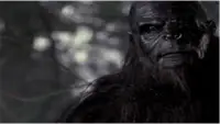 Backdrop to the movie "Sasquatch" #880731
