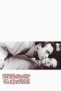 Poster to the movie "Splendor in the Grass" #1143501