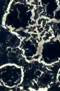 Poster to the movie "Test 1" #733184