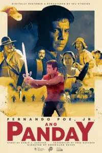 Poster to the movie "Ang Panday" #1074086