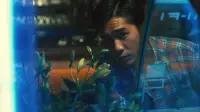 Backdrop to the movie "Chungking Express" #777507
