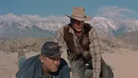 Backdrop to the movie "Springfield Rifle" #798942