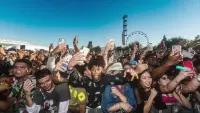 Backdrop to the movie "Trainwreck: The Astroworld Tragedy" #801549
