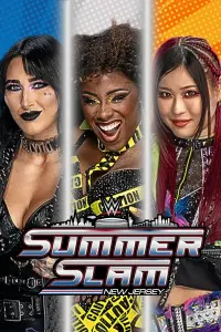 Poster to the movie "WWE SummerSlam 2025 - Sunday" #817074