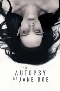 Poster to the movie "The Autopsy of Jane Doe" #938805