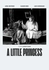 Poster to the movie "A Little Princess" #1027065