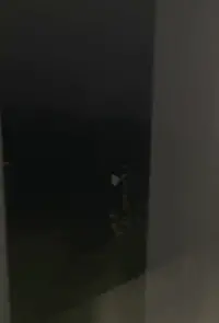 Poster to the movie "IMG_7056" #754325