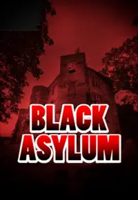 Poster to the movie "Black Asylum" #874338