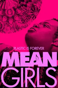 Poster to the movie "Mean Girls" #931624