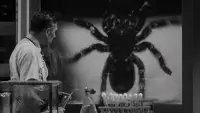 Backdrop to the movie "Tarantula" #721406