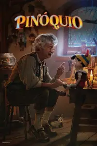 Poster to the movie "Pinocchio" #888878