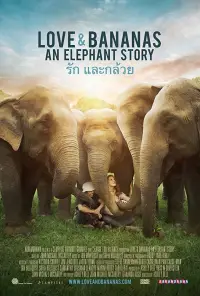 Poster to the movie "Love & Bananas: An Elephant Story" #1016931