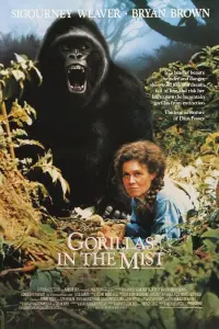 Poster to the movie "Gorillas in the Mist" #961474