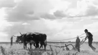 Backdrop to the movie "Drylanders" #887011