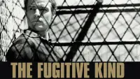 Backdrop to the movie "The Fugitive Kind" #1141788