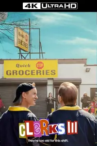Poster to the movie "Clerks III" #991704